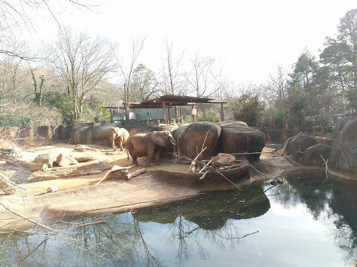 Zoo «Zoo Atlanta», reviews and photos, 800 Cherokee Ave SE, Atlanta, GA 30315, USA