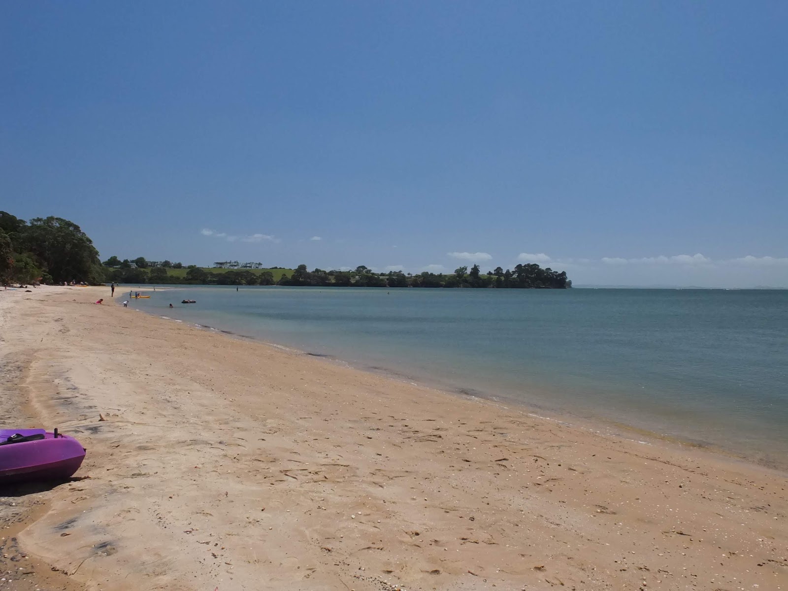 Photo de Matakawau Beach avec un niveau de propreté de très propre
