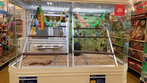 Pet Supply Store «PetSmart», reviews and photos, 2141 N Rose Ave, Oxnard, CA 93036, USA