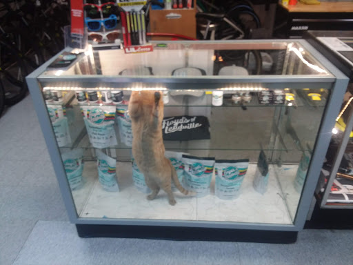 Bicycle Store «Bicycle Experience», reviews and photos, 1601 S Tejon St, Colorado Springs, CO 80905, USA