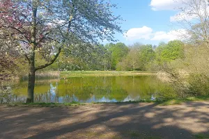 Schönauer Park image
