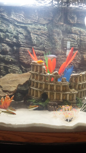 Pet Store «Henderson Pets», reviews and photos, 1504 S Green St, Henderson, KY 42420, USA