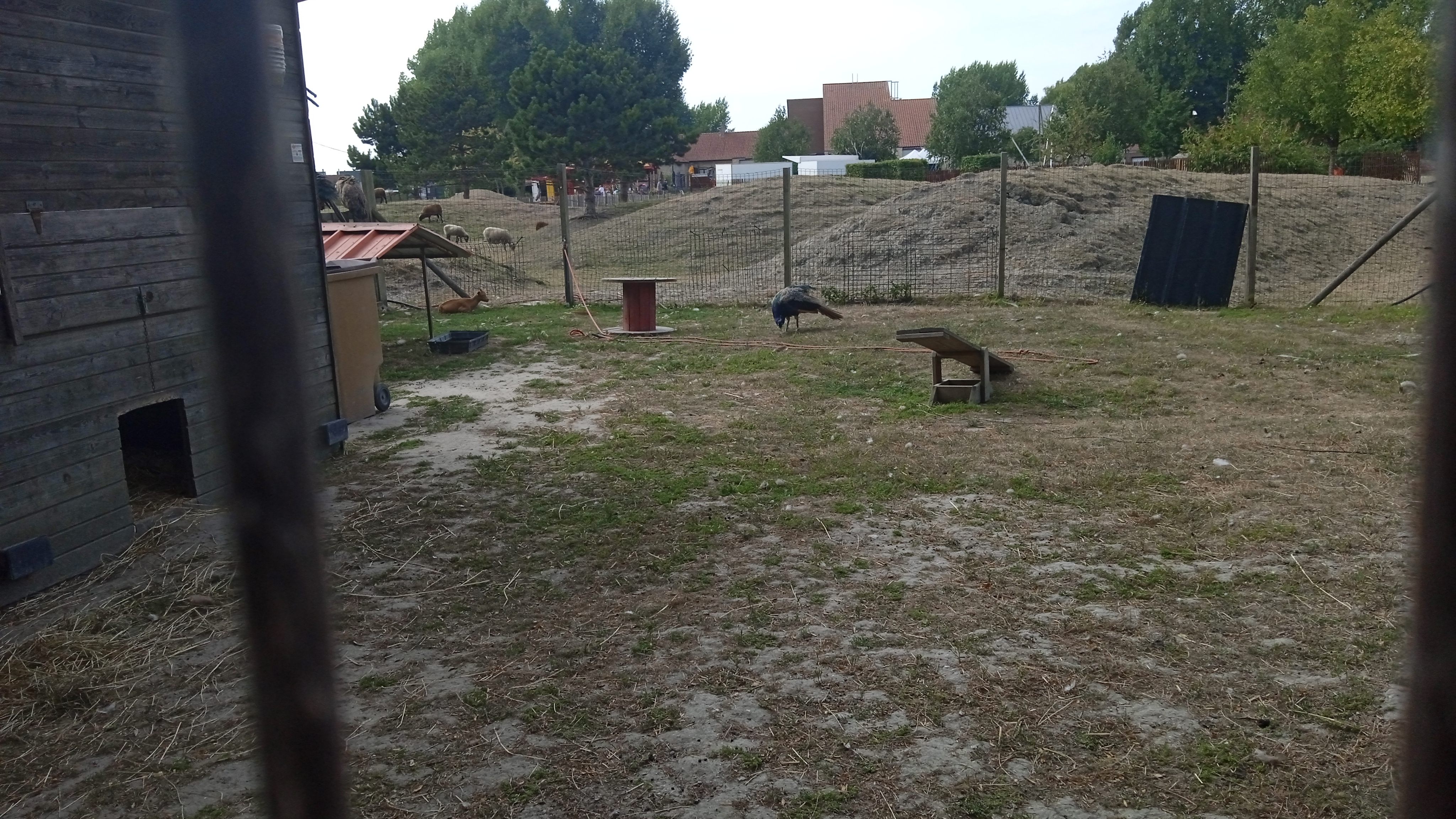 Photo n° 13 de l'avis de Phillipe.a fait le 15/08/2022 à 15:48