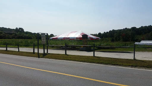 Produce Market «Stillman Farm Stand», reviews and photos, 1410 Lancaster Ave, Lunenburg, MA 01462, USA