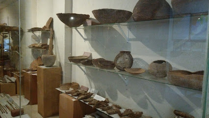 Museo Paleontológico de la Laguna