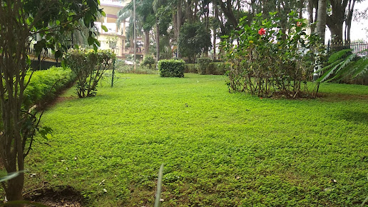 Google Maps image 32