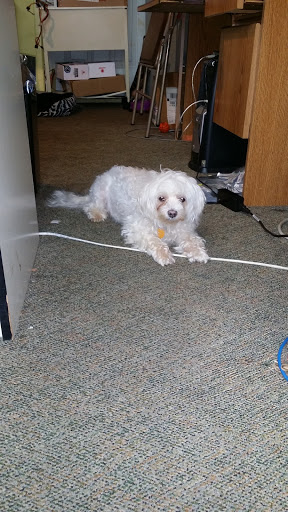 Computer Store «Pyramid Computers», reviews and photos, 907 Main St, Stone Mountain, GA 30083, USA