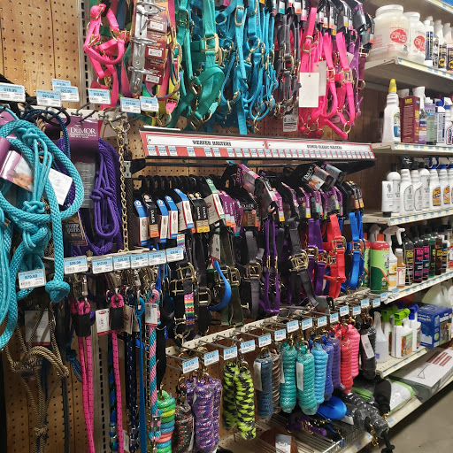 Home Improvement Store «Tractor Supply Co.», reviews and photos, 1407 Interstate 45 N, Conroe, TX 77304, USA