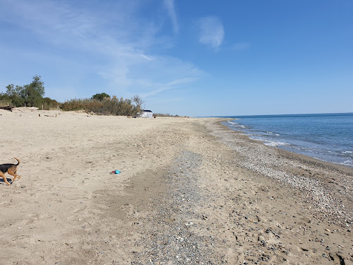 Bocal du Tech à Argelès-sur-Mer