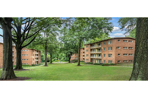 Flower Branch Apartments image