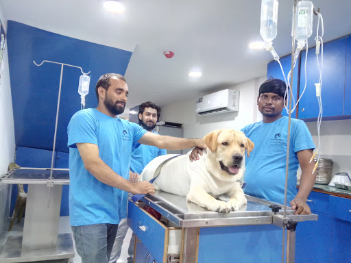 SJS Pet Care and Clinic