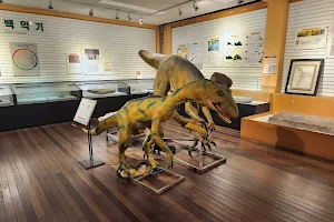 Natural History Museum, Kyungpook National University image