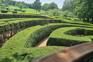 Maze Garden image
