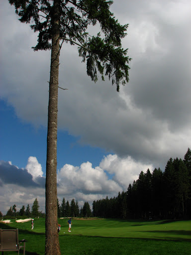 Golf Course «Washington National Golf Club», reviews and photos, 14330 SE Husky Way, Auburn, WA 98092, USA