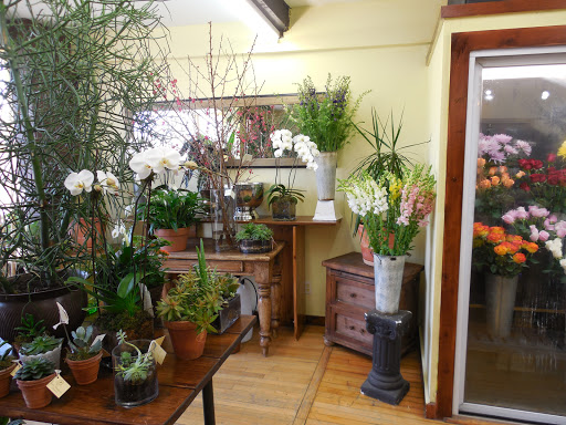 Florist «East Hampton Florist», reviews and photos, 69 N Main St, East Hampton, NY 11937, USA