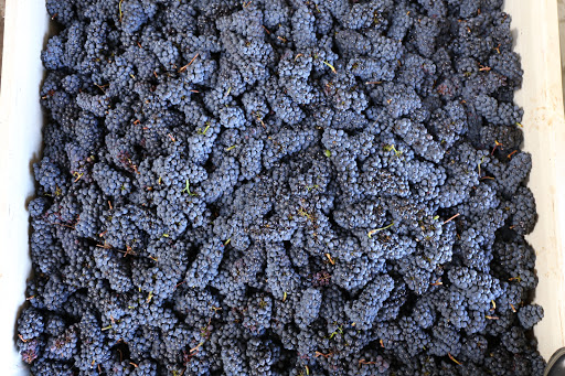 Winery «Fullerton Wines», reviews and photos, 10404 SW Mt Adams Dr, Beaverton, OR 97007, USA