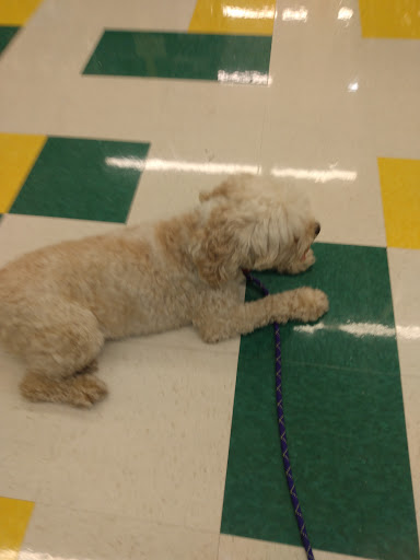 Pet Supply Store «Pet Supplies Plus», reviews and photos, 720 E Ogden Ave, Naperville, IL 60563, USA