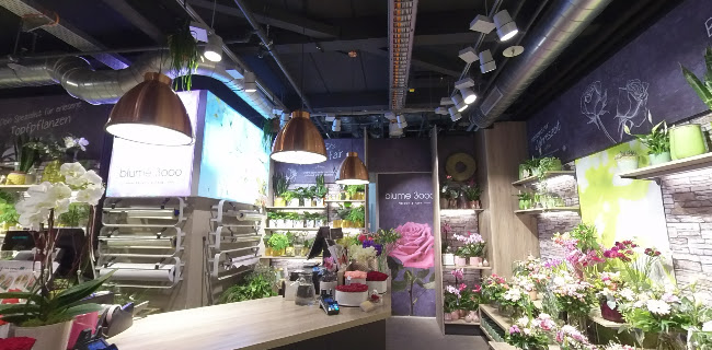 Rezensionen über blume 3000 | Zürich HB ShopVille in Zürich - Blumengeschäft