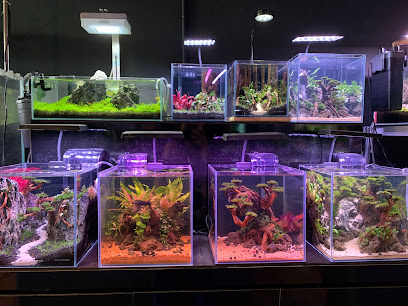 Green Maker Aquascape