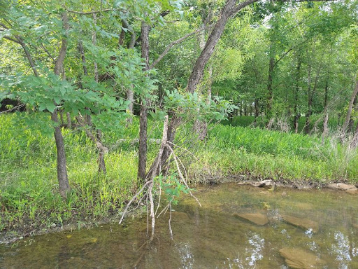 State Park «Long Hunter State Park», reviews and photos, 2910 Hobson Pike, Hermitage, TN 37076, USA