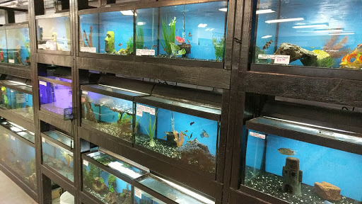 Pet Store «Pet Planet», reviews and photos, 11968 S Redwood Rd, Riverton, UT 84065, USA