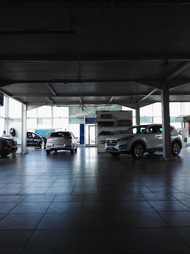 Opinii despre Hyundai Rol Car Buzau în <nil> - Dealer Auto