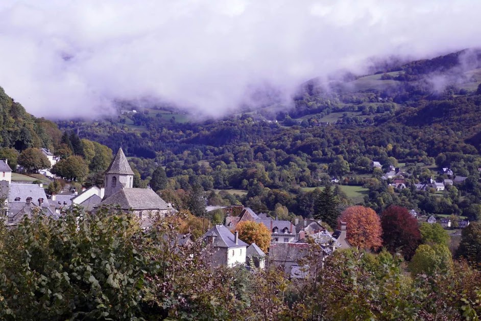 Gîte La Tour du Manoir à Thiézac (Cantal 15)