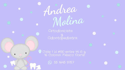 Andrea Molina-Ortodoncista y Odontopediatra