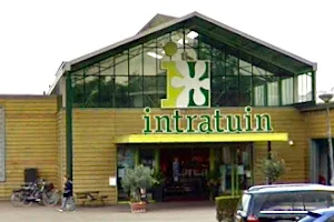 Intratuin image