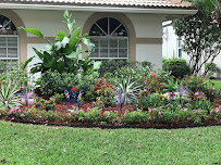 Lawn Doctor of West Broward - Photo 8 - Car repair in , Hialeah
