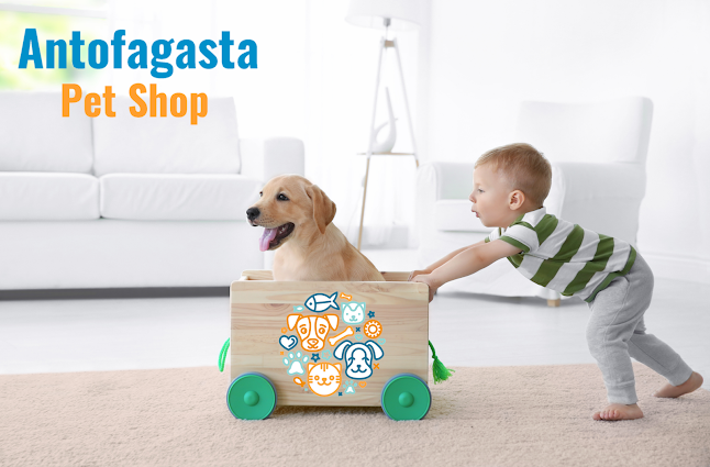 Opiniones de Antofagasta Pet shop en Antofagasta - Tienda