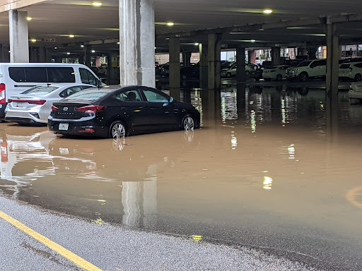 Shopping Mall «Crabtree Valley Mall», reviews and photos, 4325 Glenwood Ave, Raleigh, NC 27612, USA