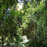 Photo n°8 de l'avis de Rock.m fait le 24/08/2018 à 10:03 sur le  Hotel Sirena | Albergo Ristorante à Lazise