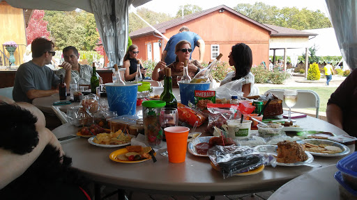 Winery «Villa Antonio Winery», reviews and photos, 3660 Linhorst Rd, Hillsboro, MO 63050, USA