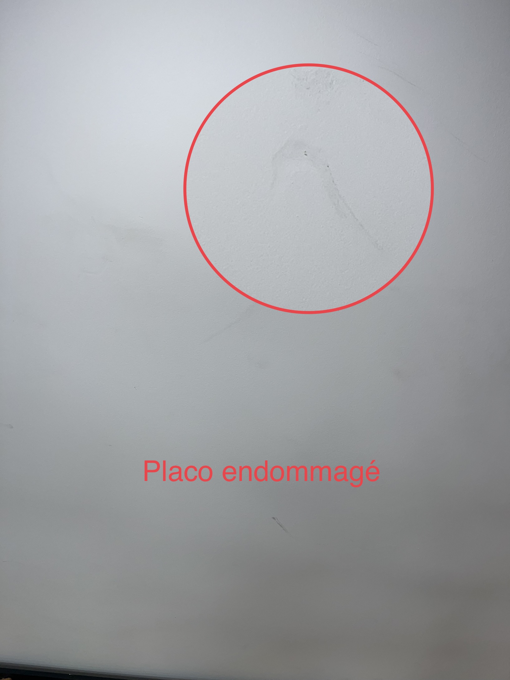Photo n° 11 de l'avis de Paze.� fait le 23/12/2023 à 12:12