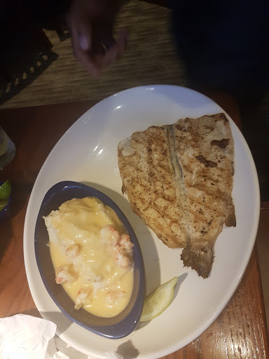 Shoe Store «Red Wing», reviews and photos, 11614 N Dale Mabry Hwy, Tampa, FL 33618, USA