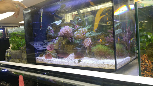 Tropical Fish Store «Premier Aquatics», reviews and photos, 1801 Roswell Rd, Marietta, GA 30062, USA
