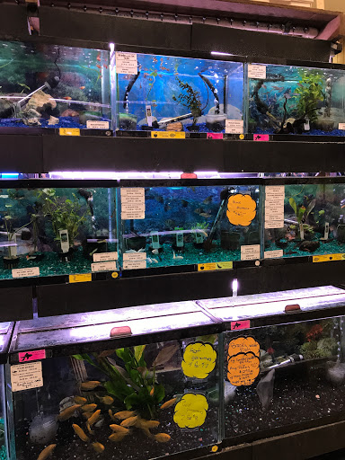 Pet Store «Petland Discounts - Richmond», reviews and photos, 2795 Richmond Ave, Staten Island, NY 10314, USA