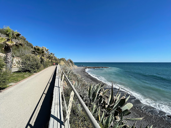 Arene dog beach