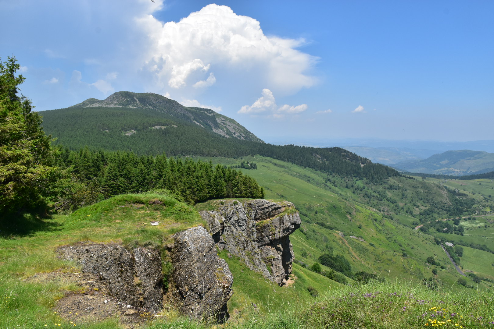 Photo n° 1 de l'avis de Muriel.e fait le 02/07/2019 à 20:00