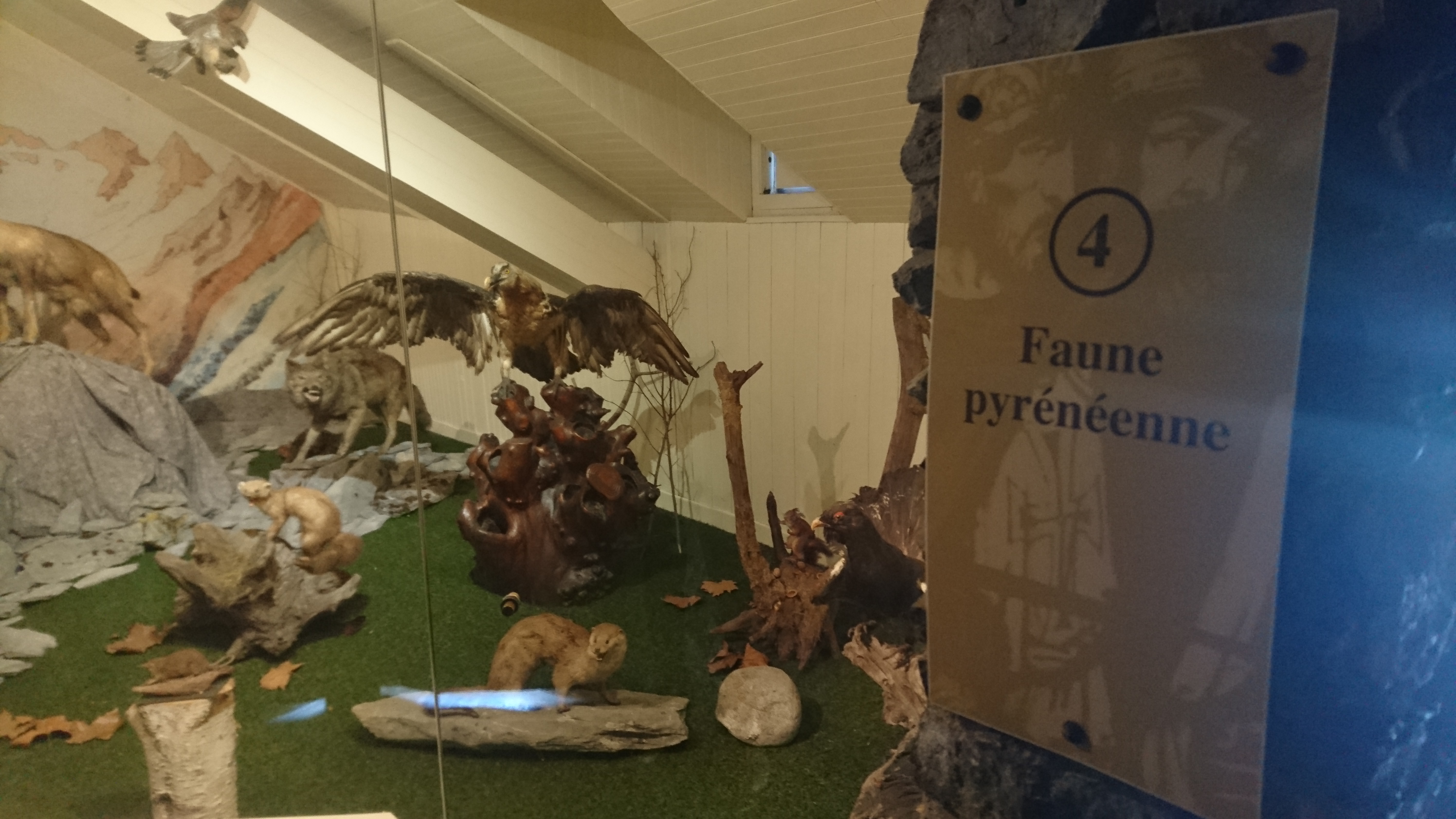 Photo n° 26 de l'avis de Sidoine.A fait le 17/06/2018 à 13:03