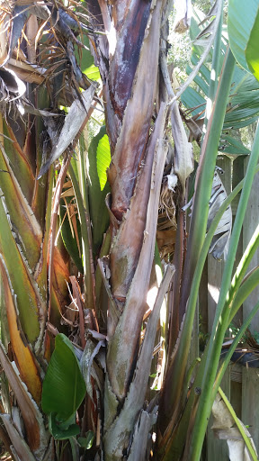 Park «Baybridge Park», reviews and photos, 10020 Bridgeton Dr, Westchase, FL 33626, USA