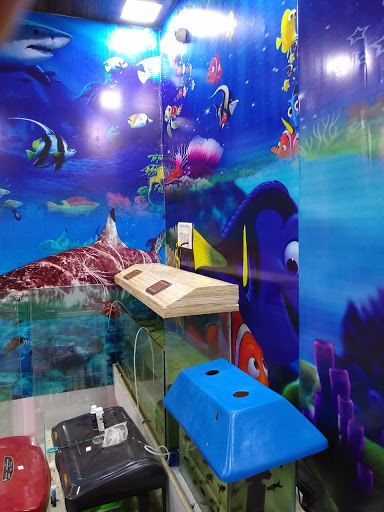 Lucky Fish Aquarium