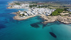 Scoglio del Cavallo - Torre Santa Sabin photo #6