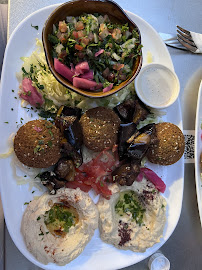 Falafel du Restaurant libanais Chez Elie à Paris - n°16