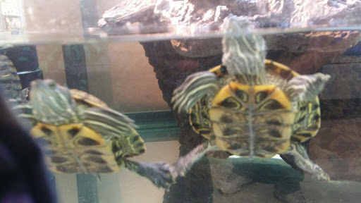 Pet Supply Store «Petco Animal Supplies», reviews and photos, 1820a W Uintah St, Colorado Springs, CO 80904, USA