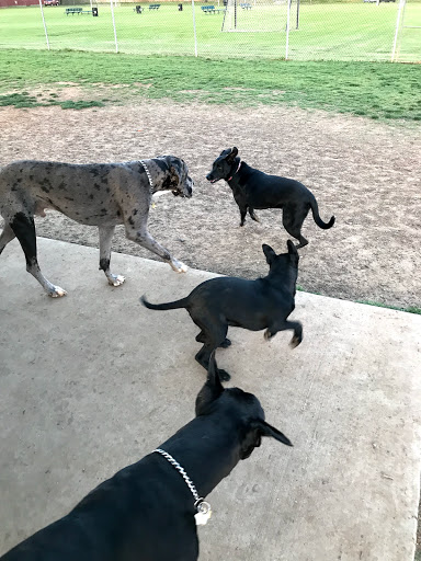 Dog Park «Bedford Bark Park», reviews and photos, 3200 Meadow Park Dr, Bedford, TX 76021, USA