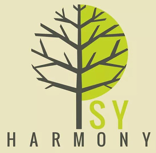 PSY HARMONY CABINET PSIHOLOGIE - Psiholog