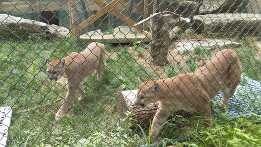 Recreation Center «Go Ape Zip Line & Treetop Adventure - Lums Pond State Park», reviews and photos, 1042 Howell School Rd, Bear, DE 19701, USA
