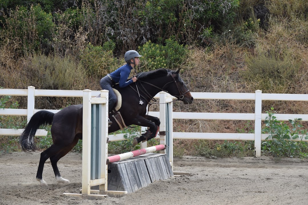 Brandis Equestrian Riding Academy